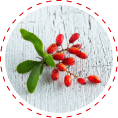 Berberine